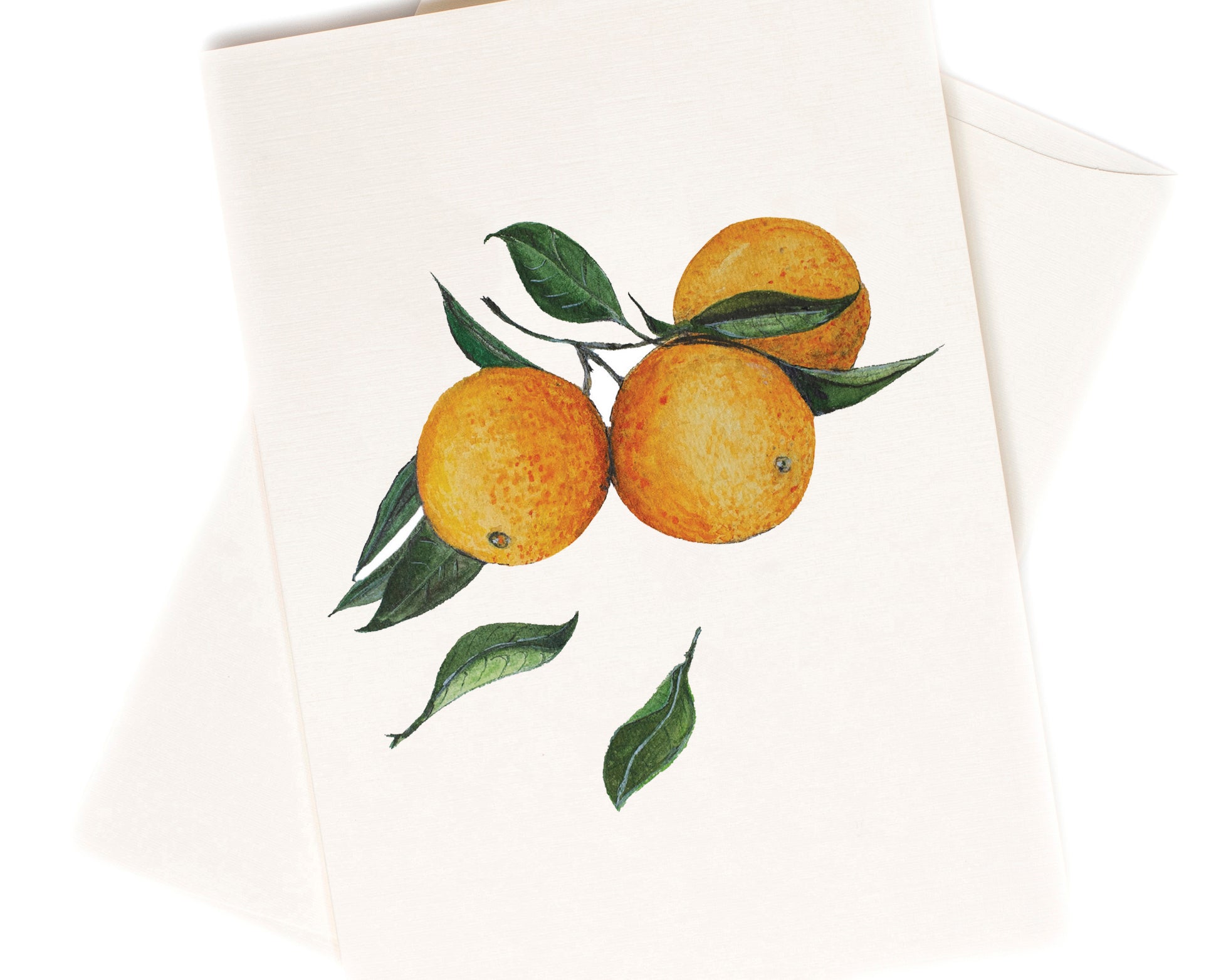 Adonda's Citrus watercolor greeting card by Love From Amelia Rose