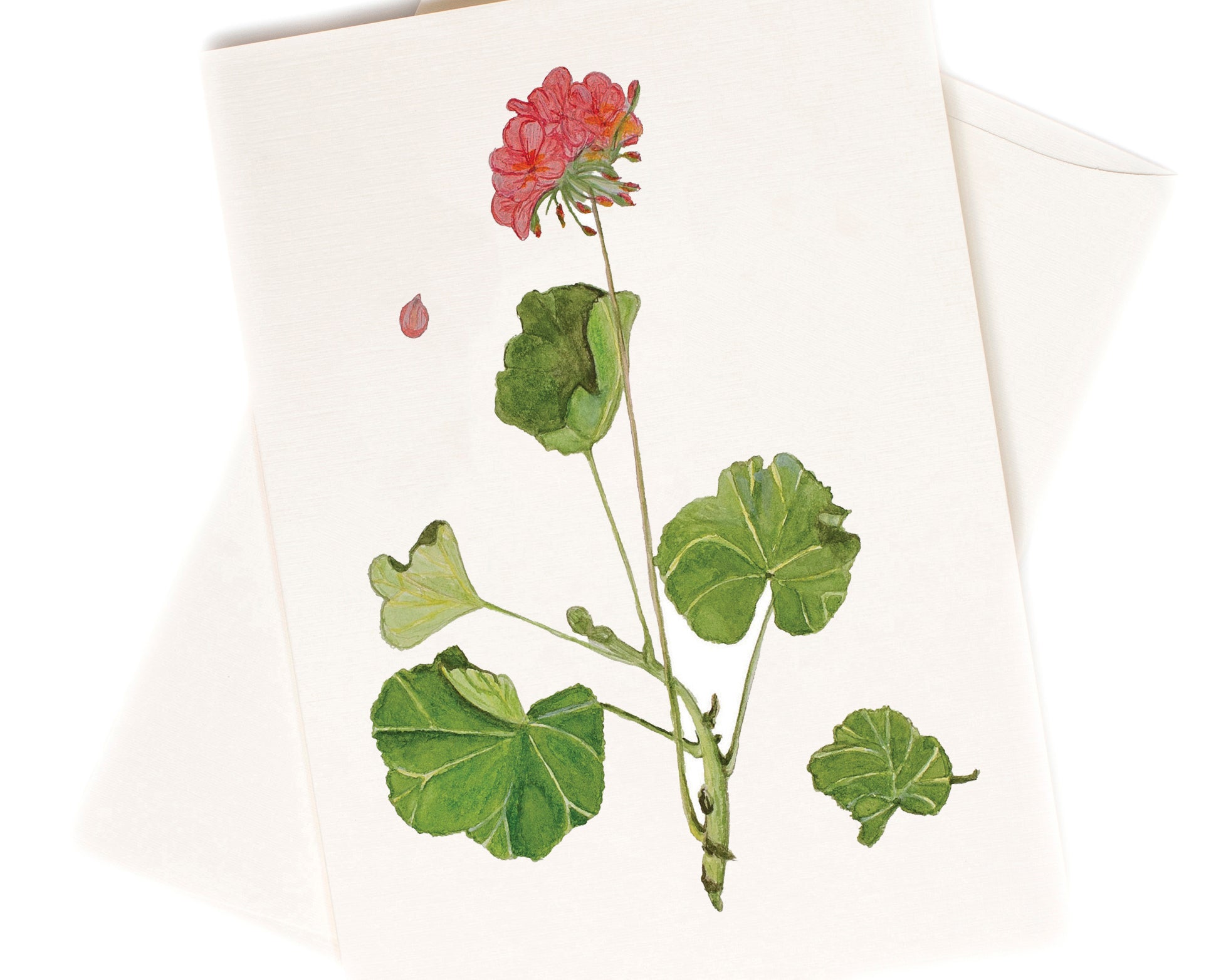 Favorite watercolor greeting card by Love From Amelia Rose
