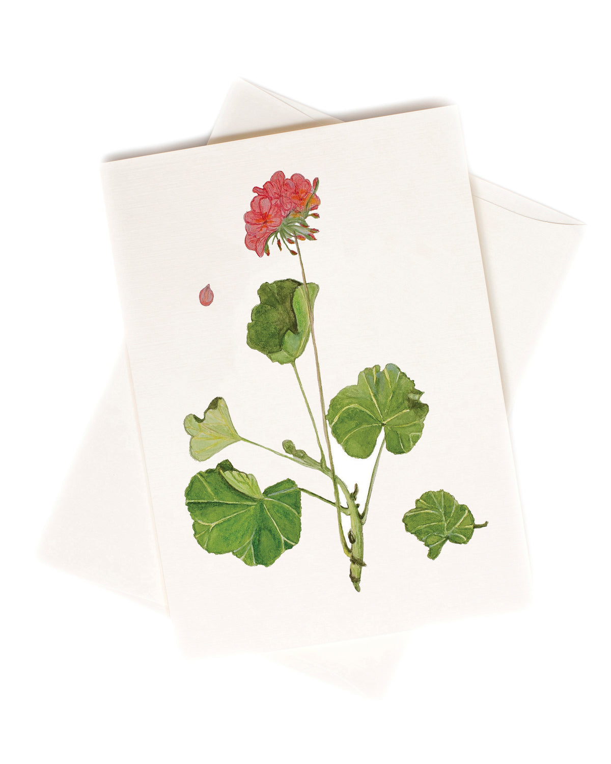 Favorite watercolor greeting card by Love From Amelia Rose