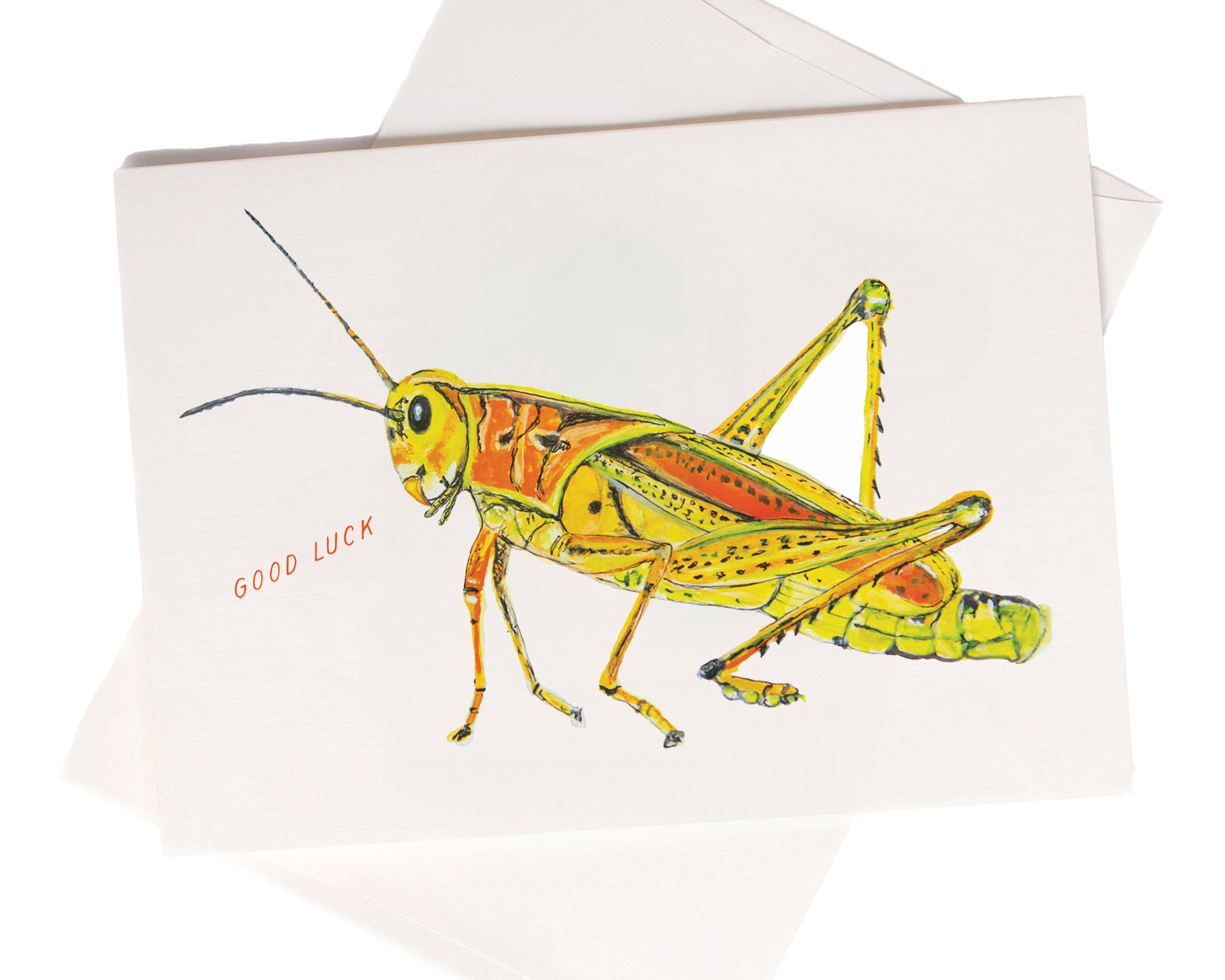 Good Luck Cricket watercolor greeting card by Love From Amelia Rose