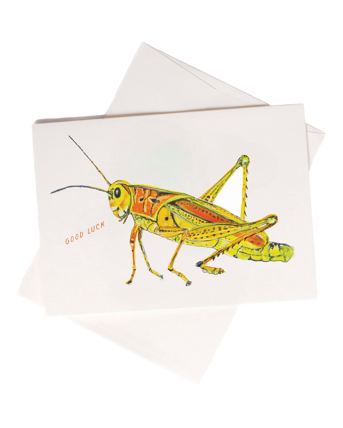Good Luck Cricket watercolor greeting card by Love From Amelia Rose