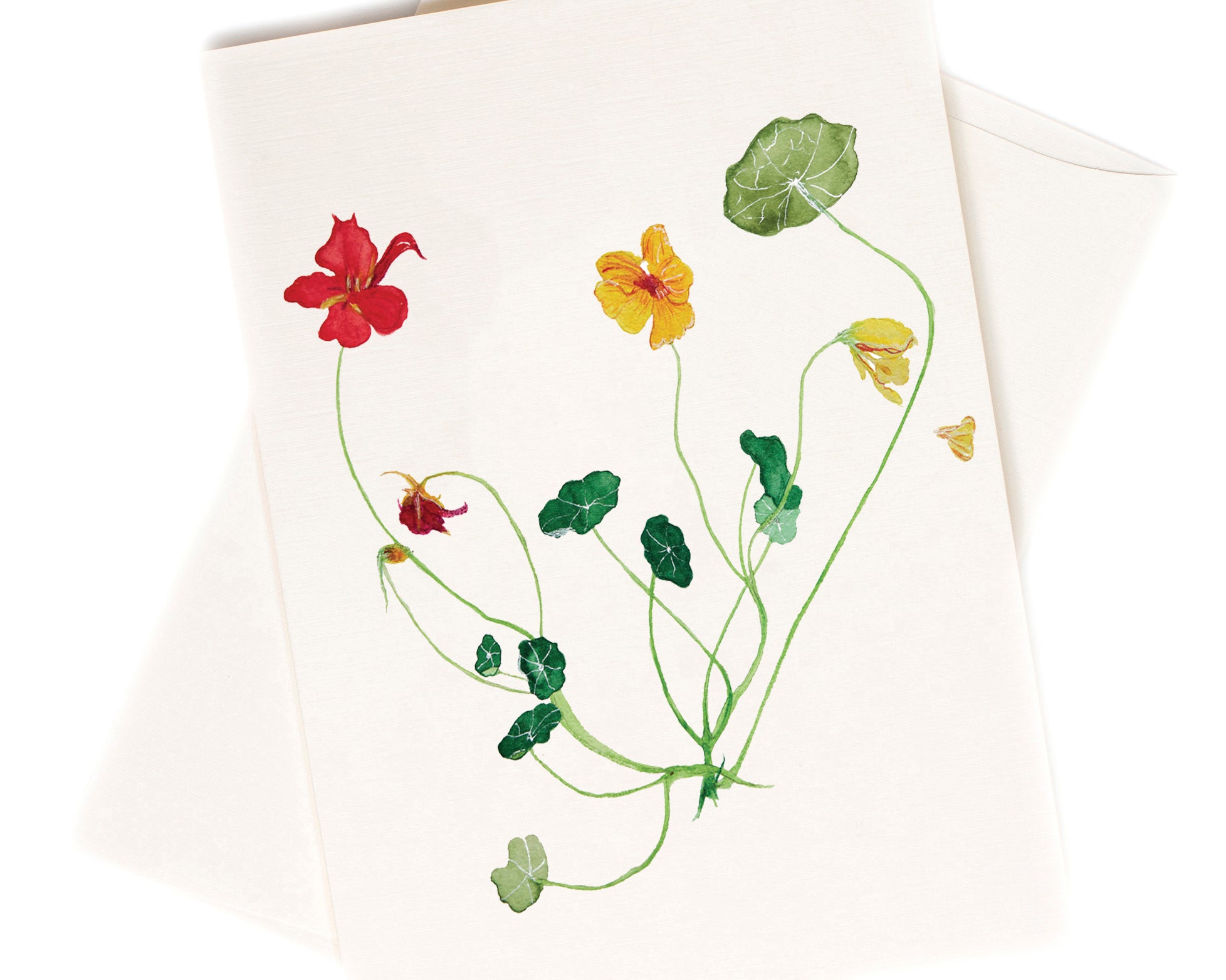 Mariana's Garden watercolor greeting card by Love From Amelia Rose